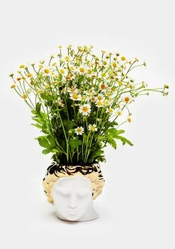 X_Impulse Fashion Accessories Roman's Revenge Head Vase