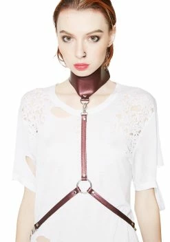 Funk Plus In Control Collar Harness